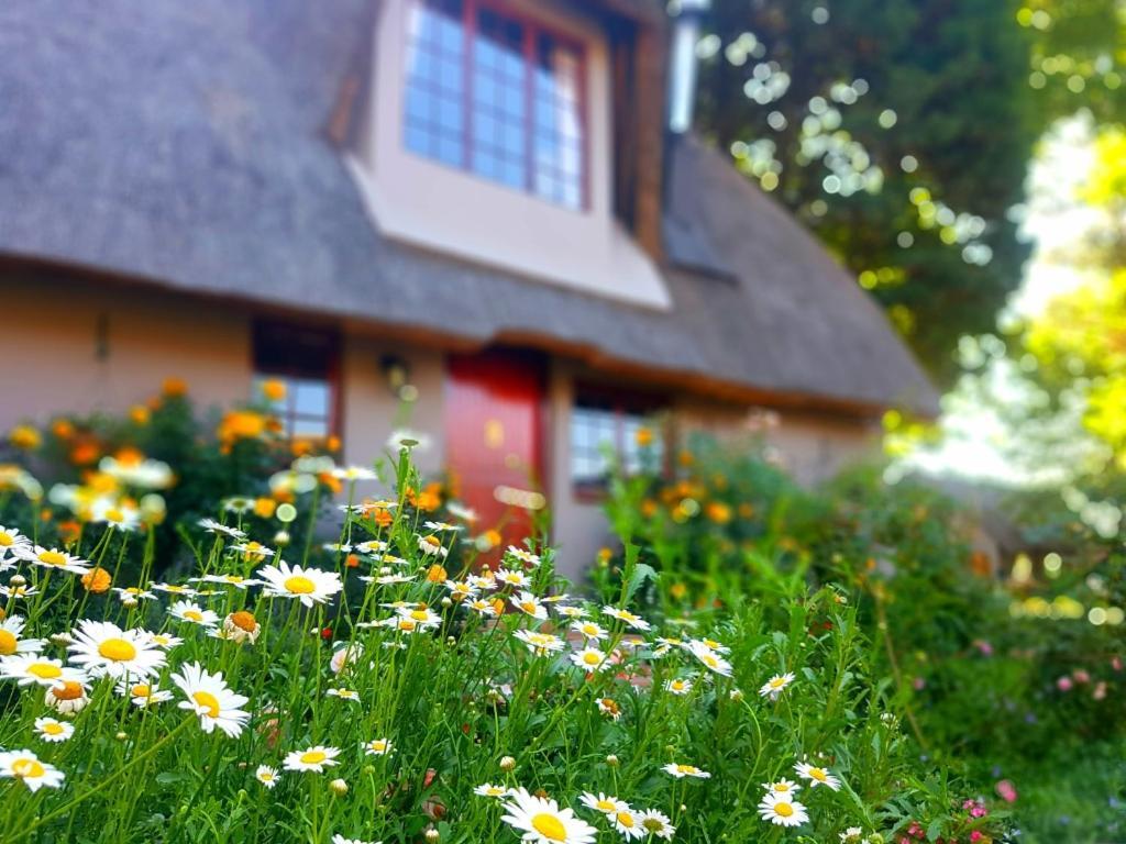 Granny Mouse Country House & Spa Balgowan Exteriér fotografie